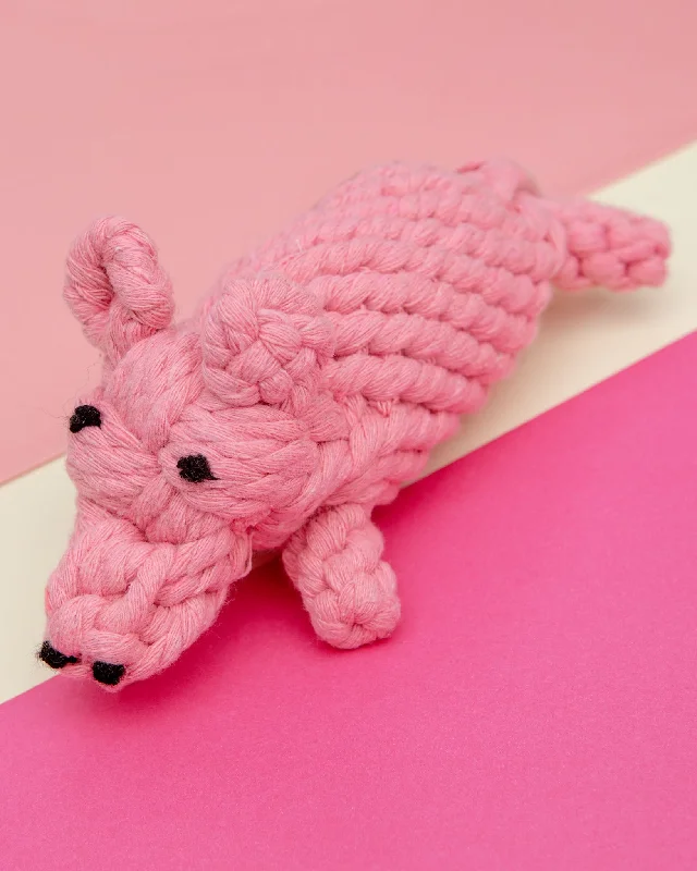 Penny the Pig Rope Dog Toy